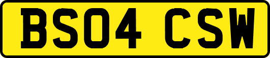 BS04CSW