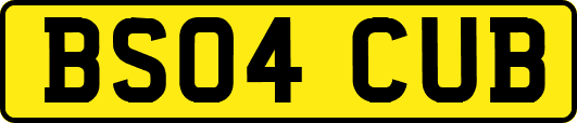 BS04CUB