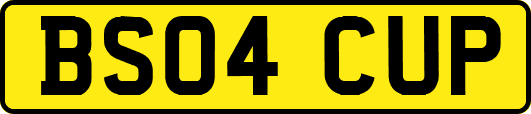 BS04CUP