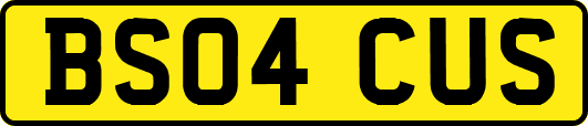 BS04CUS