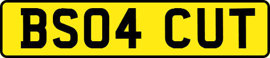 BS04CUT