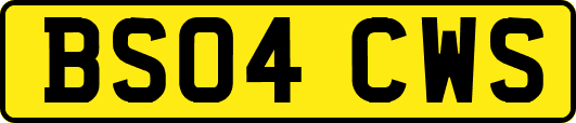 BS04CWS