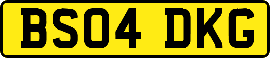 BS04DKG