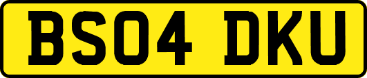 BS04DKU