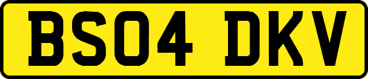 BS04DKV