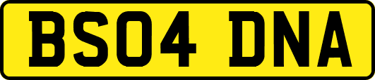 BS04DNA