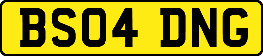 BS04DNG