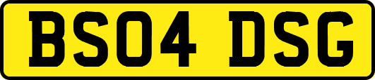 BS04DSG