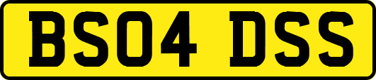 BS04DSS
