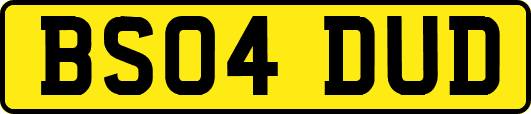 BS04DUD