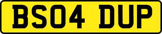 BS04DUP