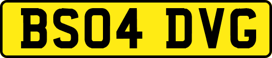 BS04DVG