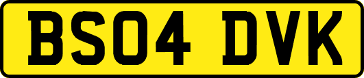 BS04DVK