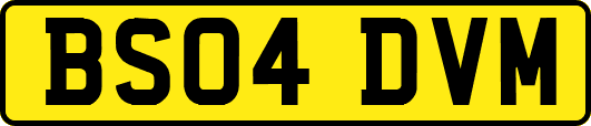 BS04DVM