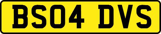 BS04DVS
