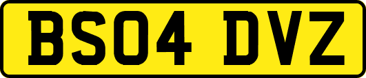 BS04DVZ