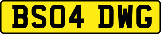 BS04DWG