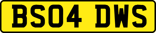 BS04DWS