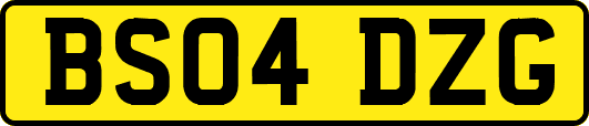 BS04DZG