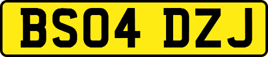 BS04DZJ
