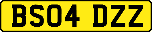 BS04DZZ