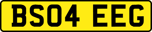 BS04EEG