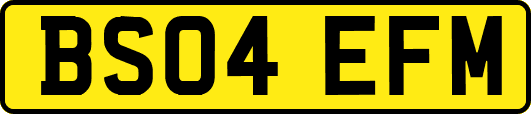 BS04EFM