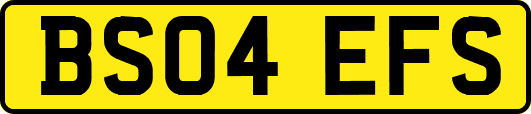 BS04EFS