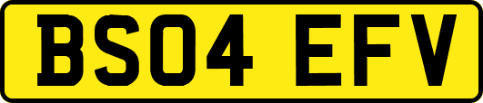 BS04EFV
