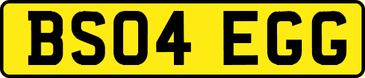 BS04EGG