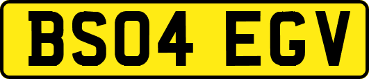 BS04EGV