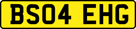 BS04EHG