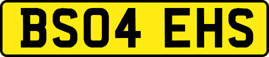 BS04EHS