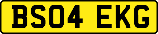 BS04EKG