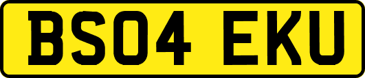 BS04EKU