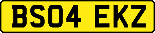 BS04EKZ