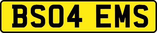 BS04EMS