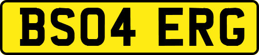 BS04ERG