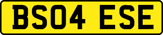 BS04ESE