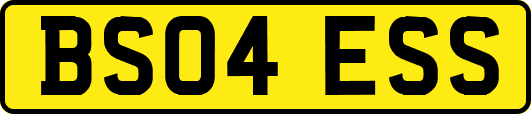 BS04ESS