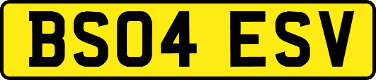 BS04ESV