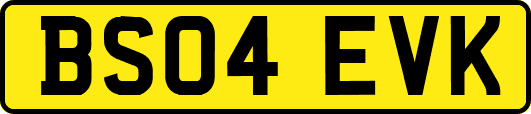 BS04EVK