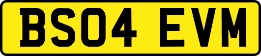 BS04EVM