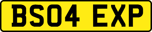 BS04EXP