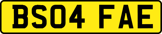 BS04FAE