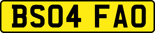 BS04FAO
