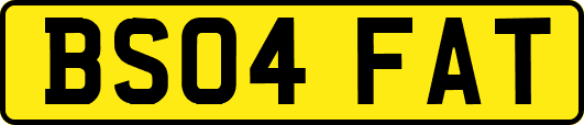 BS04FAT