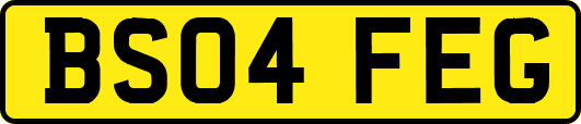 BS04FEG
