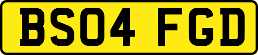 BS04FGD