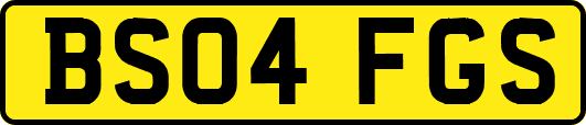 BS04FGS
